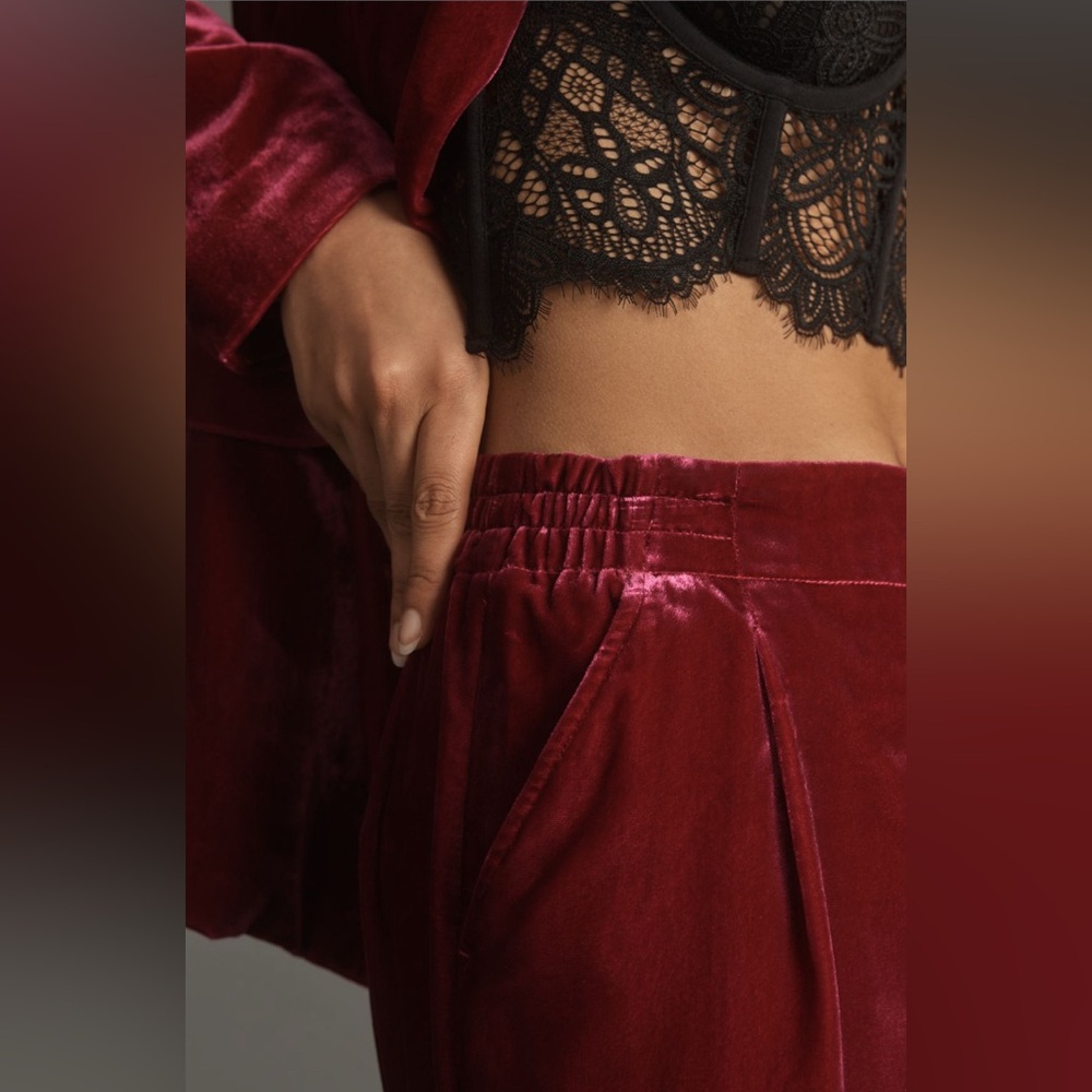 ✨ Anthropologie Wide-Leg Velvet Pants Sz S - Picture 3 of 7